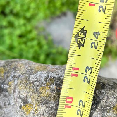 Outdoor concrete, birdbath, birdhouse.