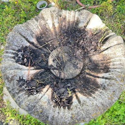 Outdoor concrete, birdbath, birdhouse.