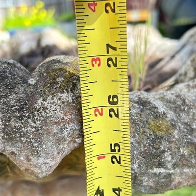 Outdoor concrete, birdbath, birdhouse.
