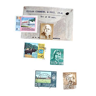 Excellent Beginner's Stamp Collection