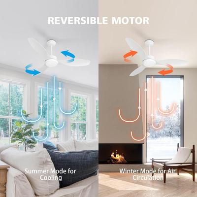 Quater White 48" Ceiling Fan w/ Light (New in Box)