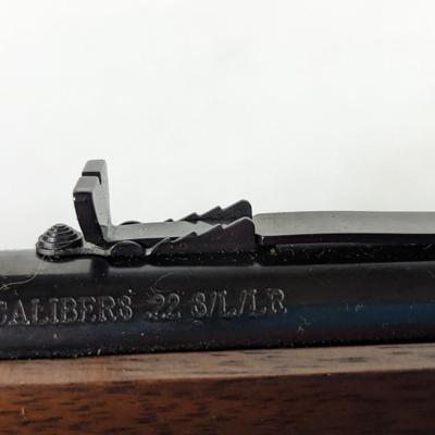 Henry Repeating Arms Mare's Leg Lever Action .22 Caliber Pistol with Scope and Camouflage Shoulder Holster