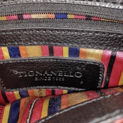 Tignanello black clutch purse