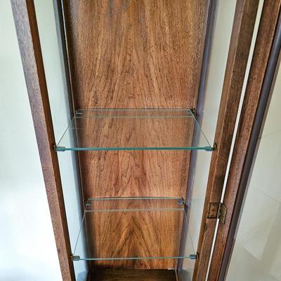 Lighted Curio Cabinet