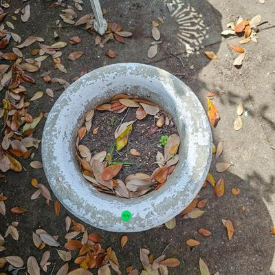 Pair of Concrete Garden Urns