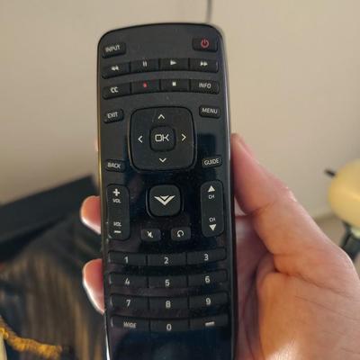 Vizio 42" TV with Wall Mount