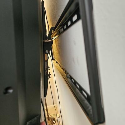 Vizio 42" TV with Wall Mount