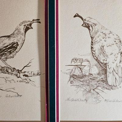 Framed Prints - Signed Helen Veatch