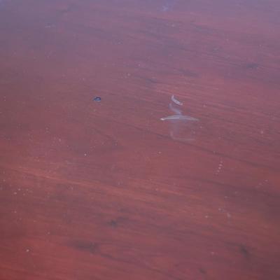 Pair of End Tables (2)