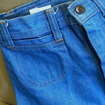 VINTAGE CLOTHING! Moody's Goose Blue Jeans: Lot Twenty Seven