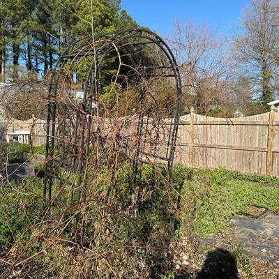 1521 Metal Garden Trellis