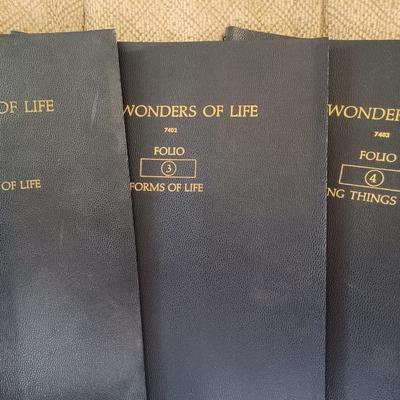 macro viewer with book set
