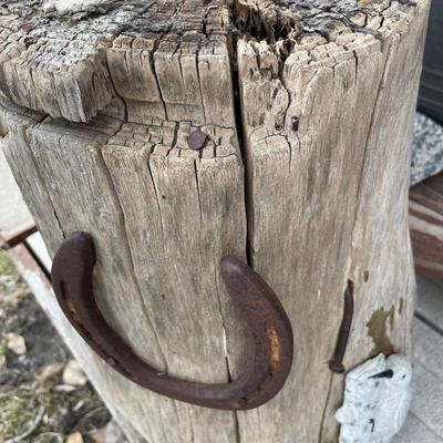 Wood Stump with horse shoe and bird
