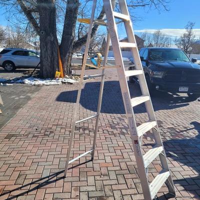 Davidson 7ft aluminum step ladder