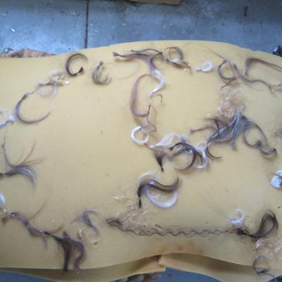 locks of hair Od collection of human hair