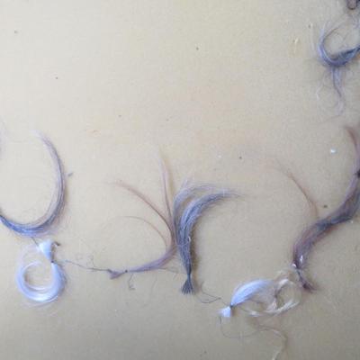 locks of hair Od collection of human hair