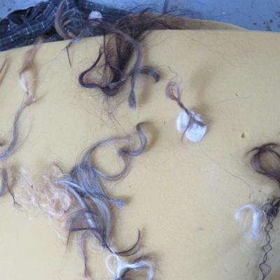 locks of hair Od collection of human hair