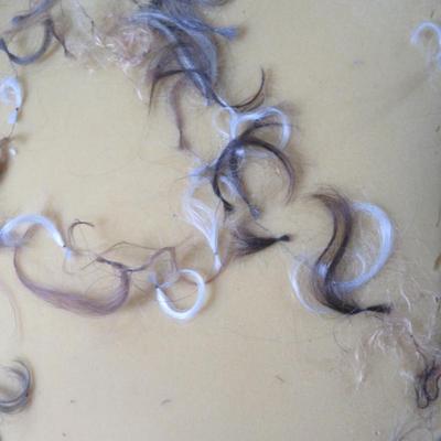 locks of hair Od collection of human hair