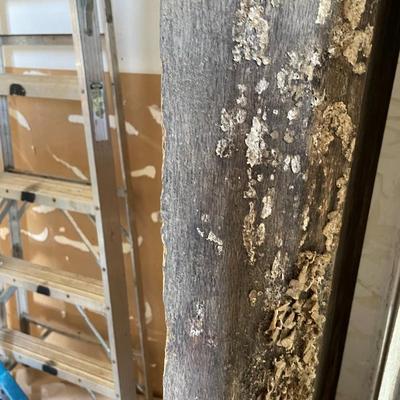 Rustic 12 ft Plank of Beveled Oak