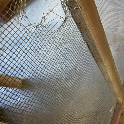 Vintage Screen Door, Possibly From a Pie Safe