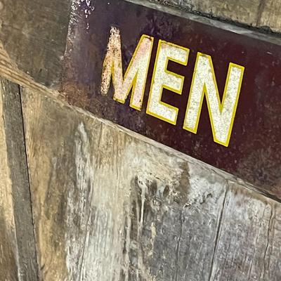Vintage Basement Bathroom Barn Door