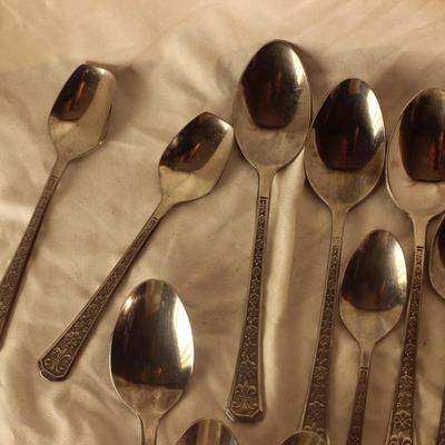 Interpur Stainless steel silverware