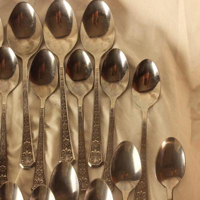 Interpur Stainless steel silverware