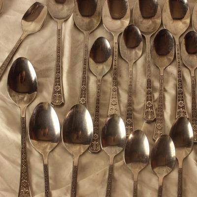 Interpur Stainless steel silverware