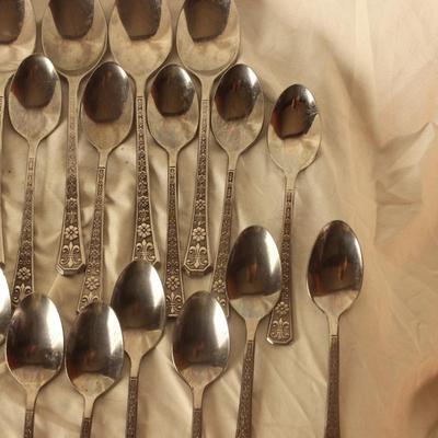 Interpur Stainless steel silverware