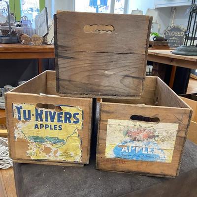 Trio of Vintage Fruit Crates: Lot Fourteen