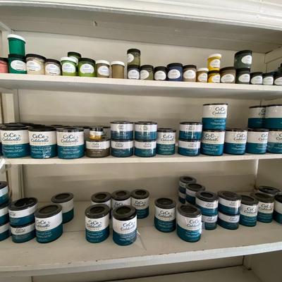 Huge Lot of Paints; Varying Colors, Sizes, and Types