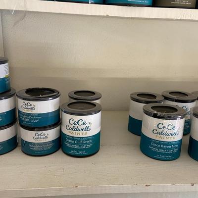 Huge Lot of Paints; Varying Colors, Sizes, and Types