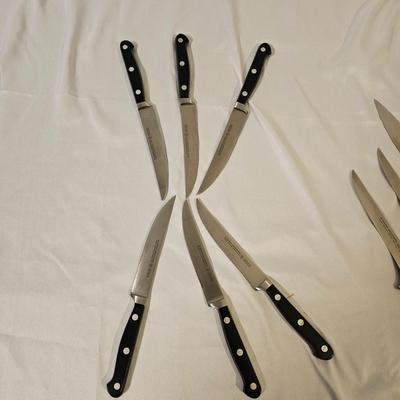 WÃ¼sthof Knife Set (L-JS)