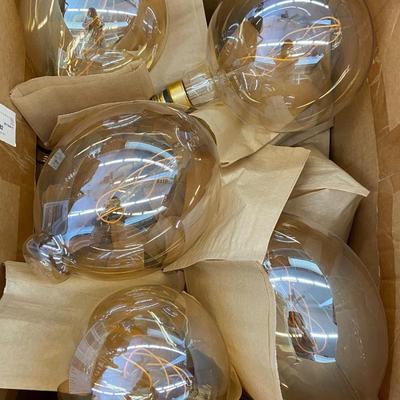 Farmhouse Mercantile Box of Eleven Lightbulb
