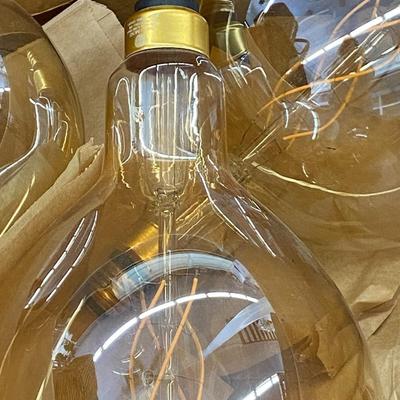 Farmhouse Mercantile Box of Eleven Lightbulb