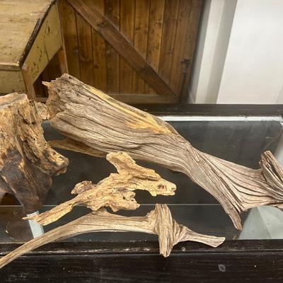 Driftwood Lot