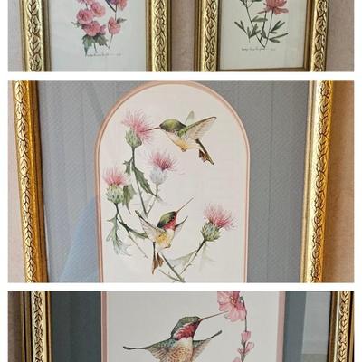 Hummingbirds 4 framed prints signed and numbered