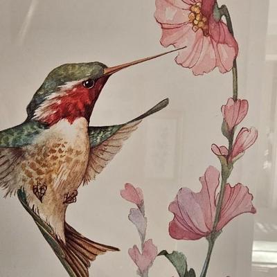 Hummingbirds 4 framed prints signed and numbered