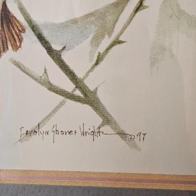 Hummingbirds 4 framed prints signed and numbered