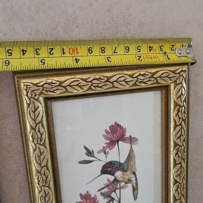 Hummingbirds 4 framed prints signed and numbered