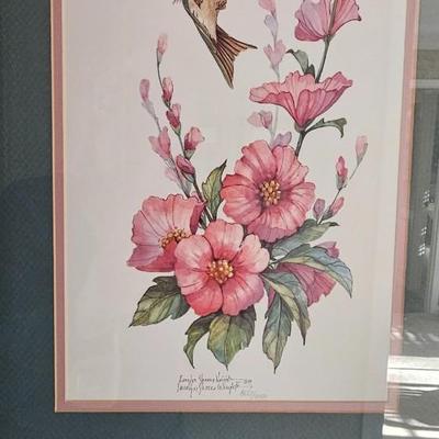 Hummingbirds 4 framed prints signed and numbered
