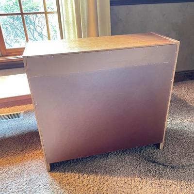 Scandinavian Coffee Table and Shelf (DB-SS)