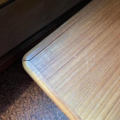 Scandinavian Coffee Table and Shelf (DB-SS)