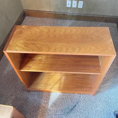 Scandinavian Coffee Table and Shelf (DB-SS)
