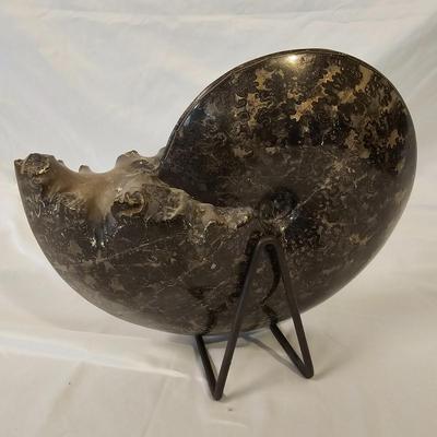 Large Ammonite Fossil w/Stand (L-JS)