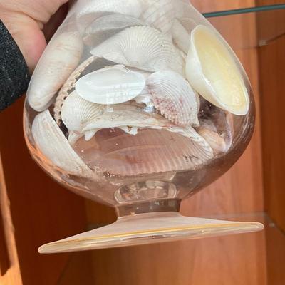 Large & Small Sea Shells (DR-SS)