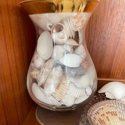 Large & Small Sea Shells (DR-SS)