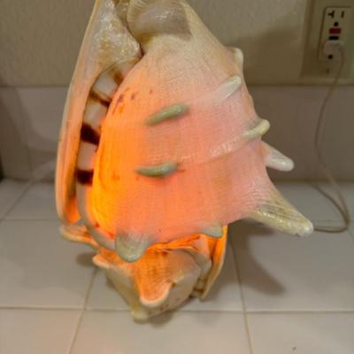 CONCHE SHELL NIGHT LIGHT