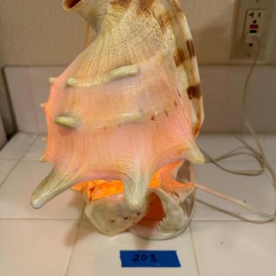 CONCHE SHELL NIGHT LIGHT