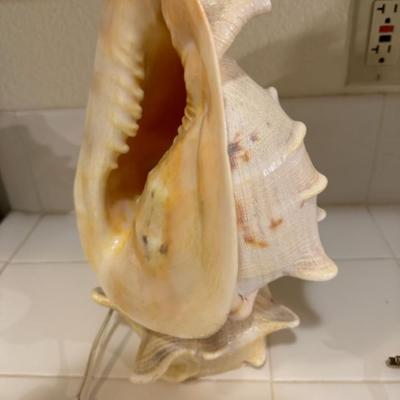 CONCHE SHELL NIGHT LIGHT